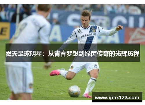 舜天足球明星：从青春梦想到绿茵传奇的光辉历程