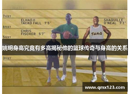 姚明身高究竟有多高揭秘他的篮球传奇与身高的关系